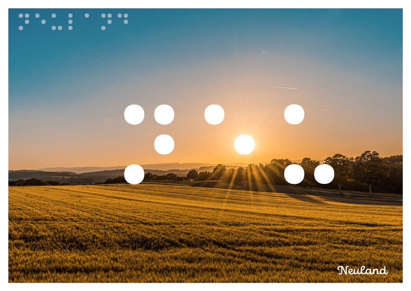 Neuland Braille-Postkarte
